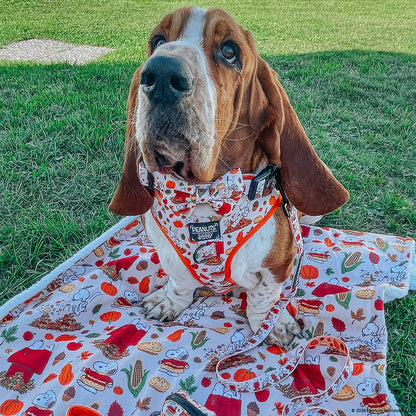 Dog Collar - Peanuts™ Harvest