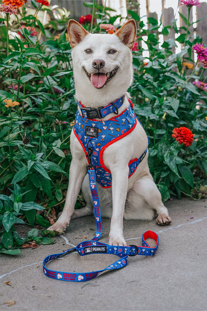 Dog Adjustable Harness - MLB™ x Peanuts™ Chicago Cubs™