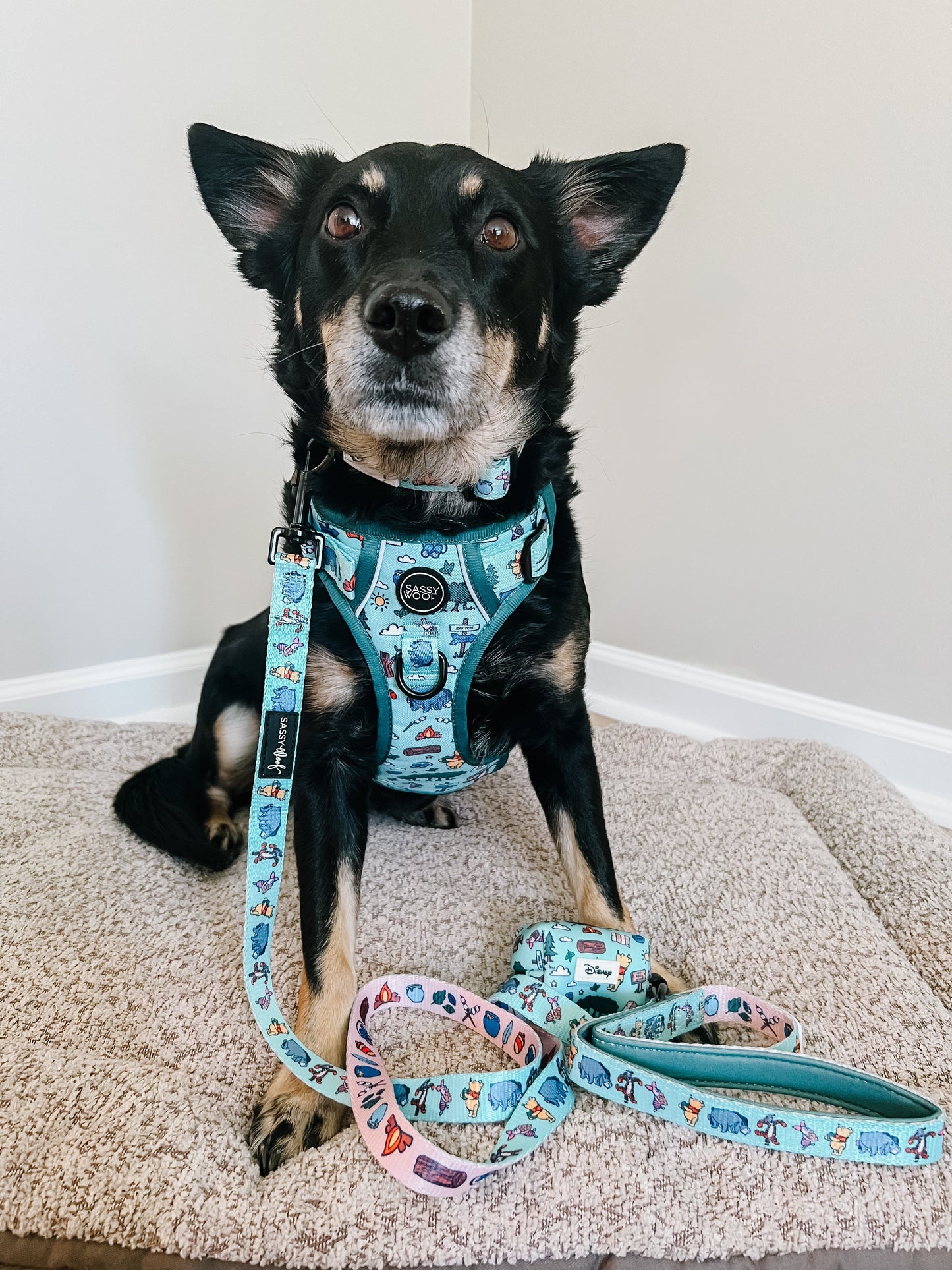 Dog Two Piece Bundle - Disney's Winnie the Pooh