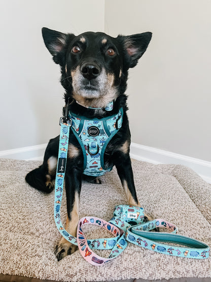 Dog Two Piece Bundle - Disney's Winnie the Pooh