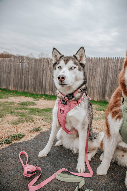 Dog Three Piece Bundle - Dusty Rose