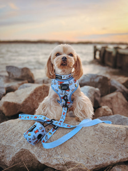 Dog Two Piece Bundle - Coastal Cuties
