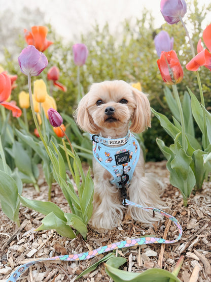 Dog Leash - Disney and Pixar's Up