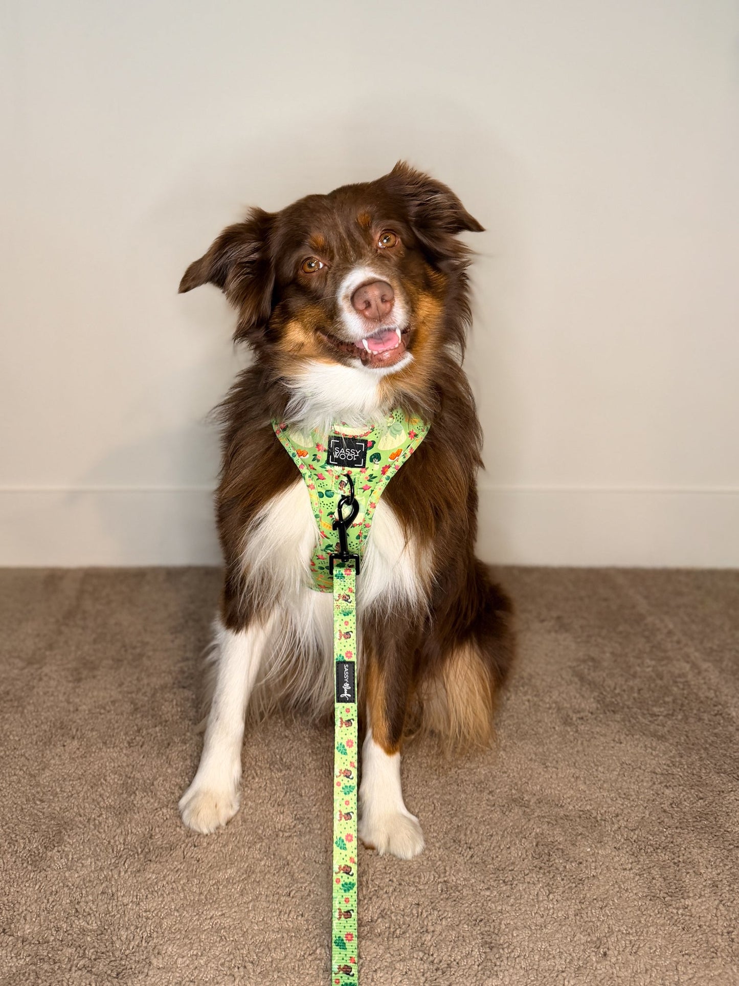Dog Adjustable Harness - Disney's Tiana