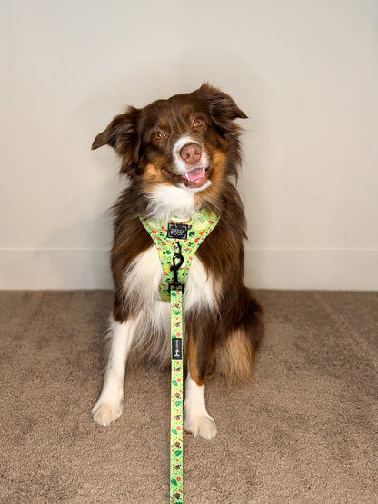 Dog Adjustable Harness - Disney's Tiana