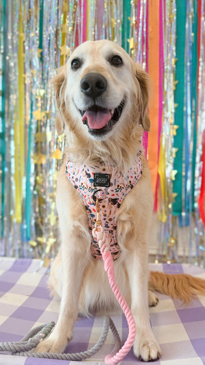 Harness Three Piece Bundle - Disney's Pocahontas