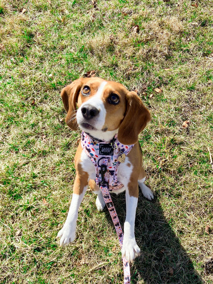 Dog Two Piece Bundle - Disney's Pocahontas