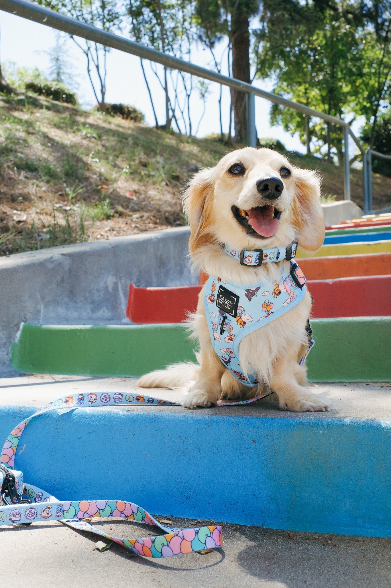 Dog Collar - Disney and Pixar's Up