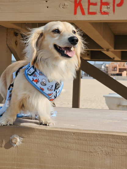 Dog Two Piece Bundle - Coastal Cuties