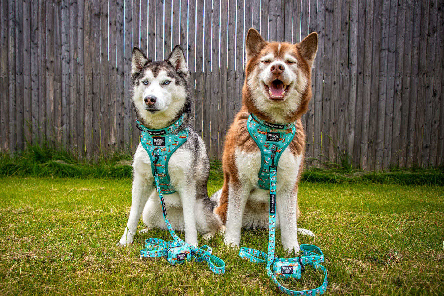 Dog Adjustable Harness - Peanuts™ Road Tripping