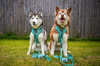 Dog Adjustable Harness - Peanuts™ Road Tripping