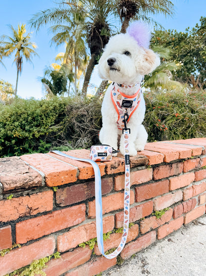 Dog Adjustable Harness - Shell Yeah