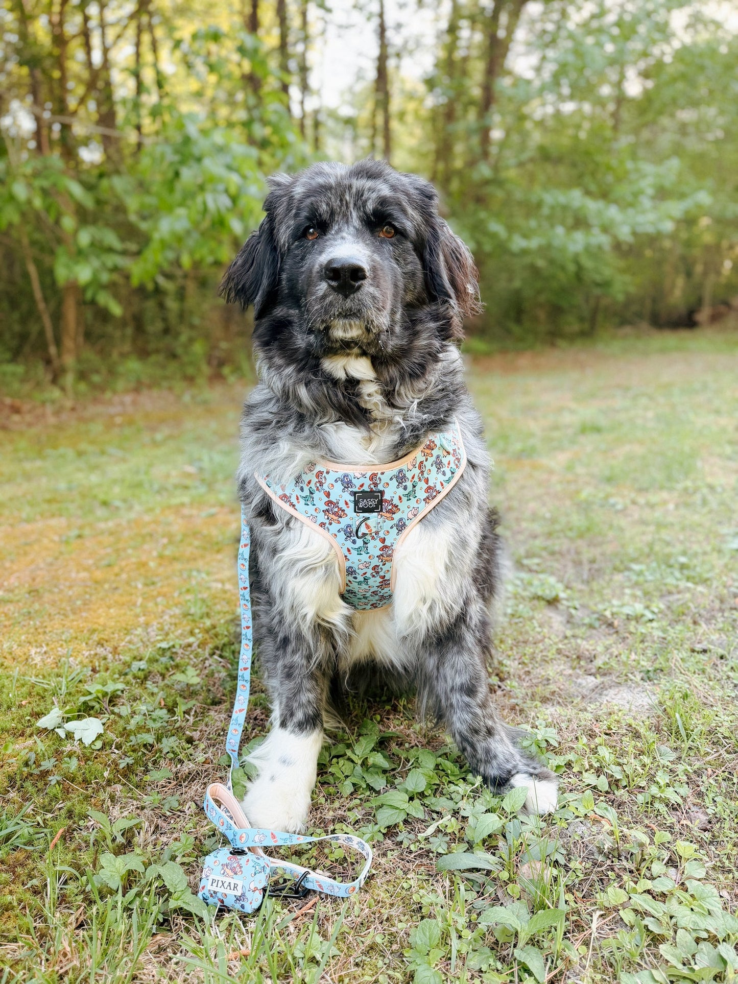 Dog Adjustable Harness - Disney and Pixar's Toy Story