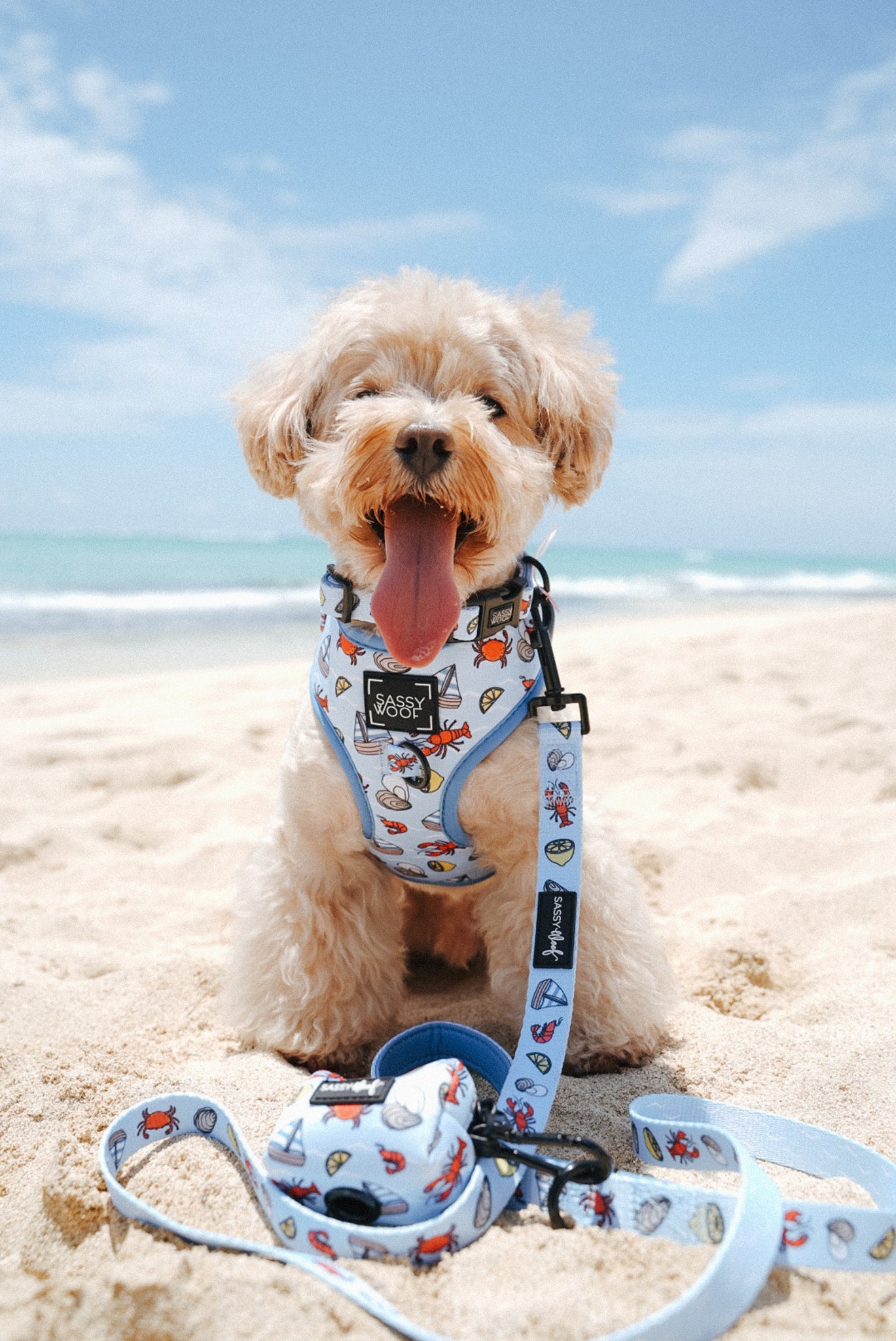 Dog Two Piece Bundle - Coastal Cuties