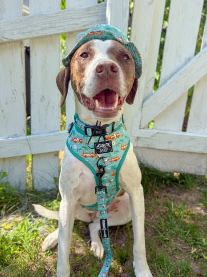 Dog Collar - Peanuts™ Road Tripping