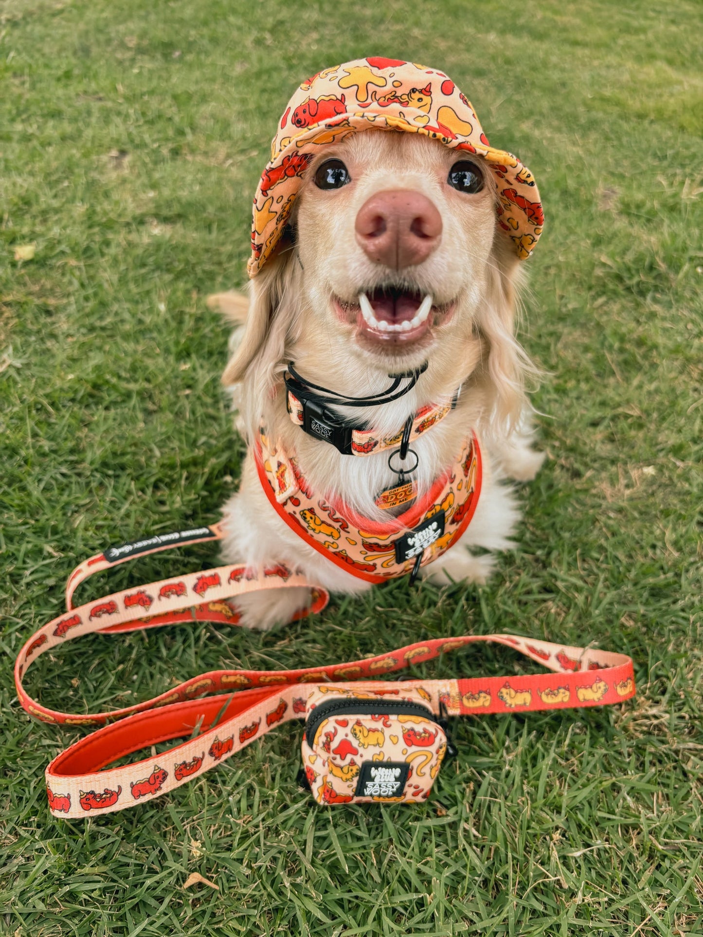 Dog Leash - Hot Dawg