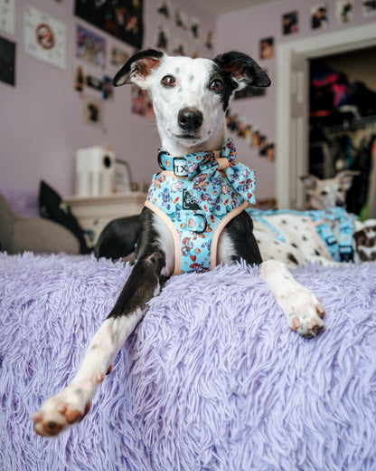 Dog Sailor Bow - Disney and Pixar's Toy Story