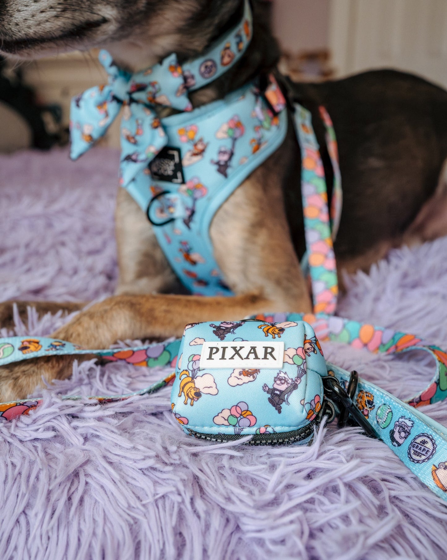 Dog Collar Three Piece Bundle - Disney and Pixar's Up