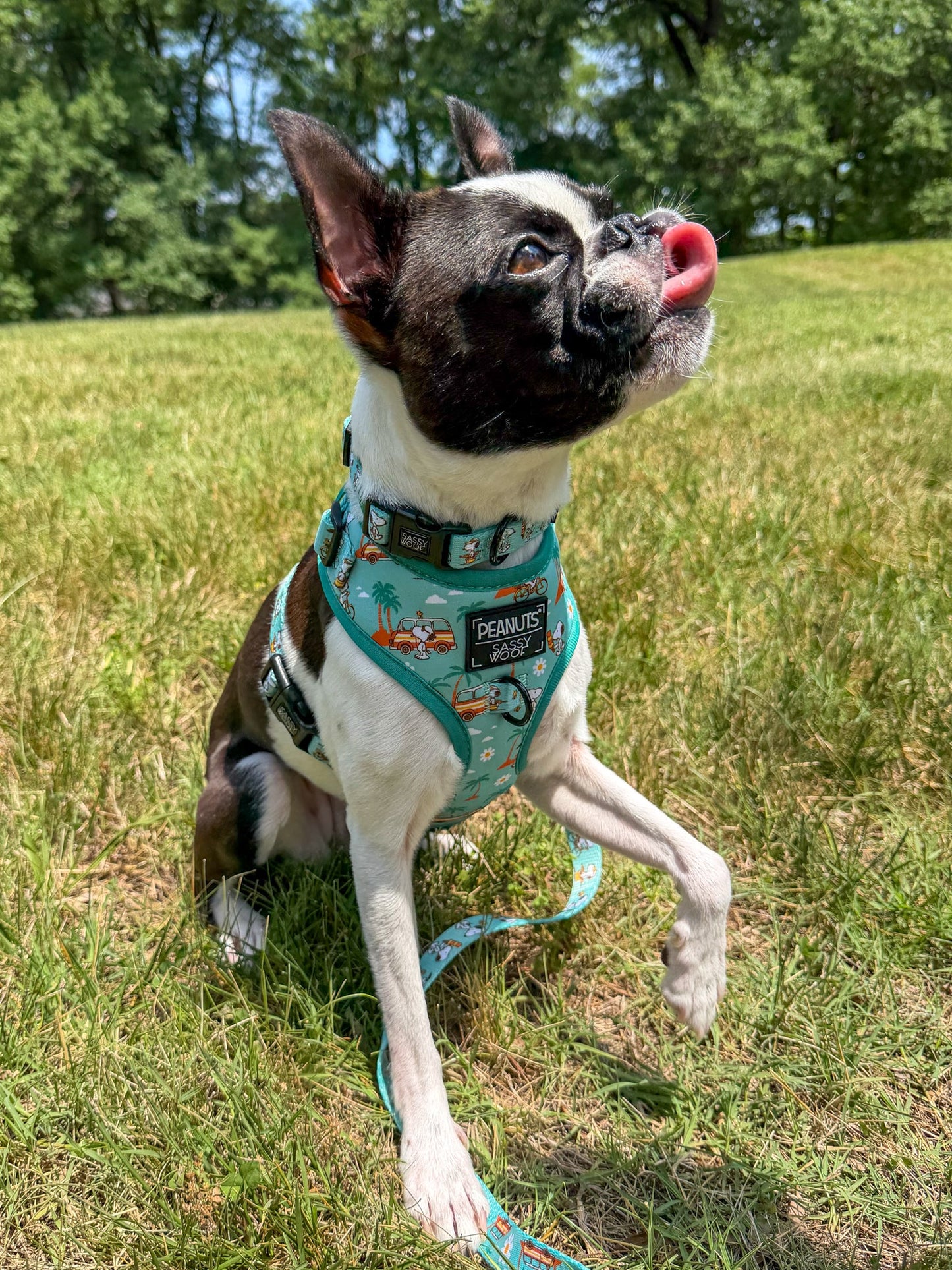 Dog Adjustable Harness - Peanuts™ Road Tripping