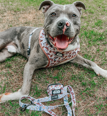 Dog Leash - STAR WARS™ The Rebel Alliance