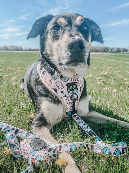 Dog Leash - Mixed With Love