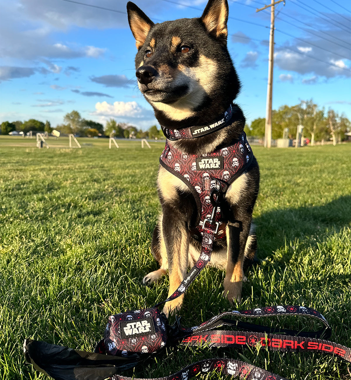 Dog Waste Bag Holder - STAR WARS™ The Dark Side
