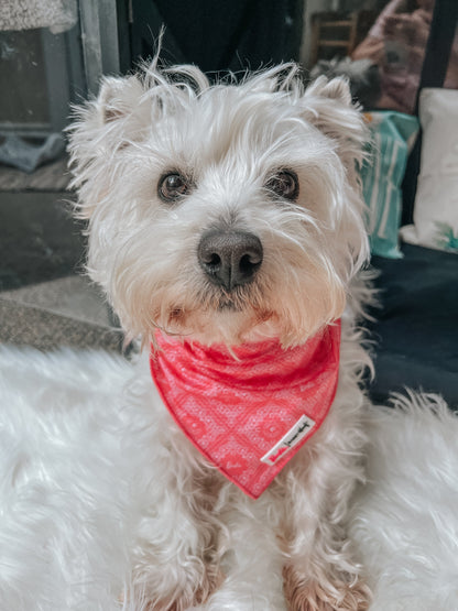 Dog Bandana - Western Barbie™