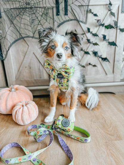 Dog Collar - Haunt Mess