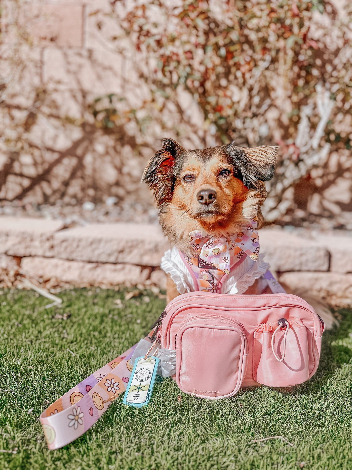 Dog Parent Bag - Strap Only