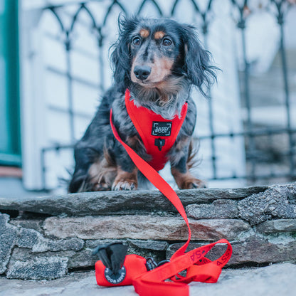 Dog Waste Bag Holder - Neon Red