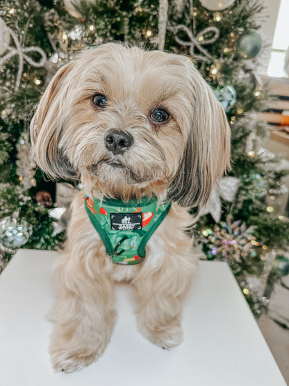 Dog Two Piece Bundle -  Elf™