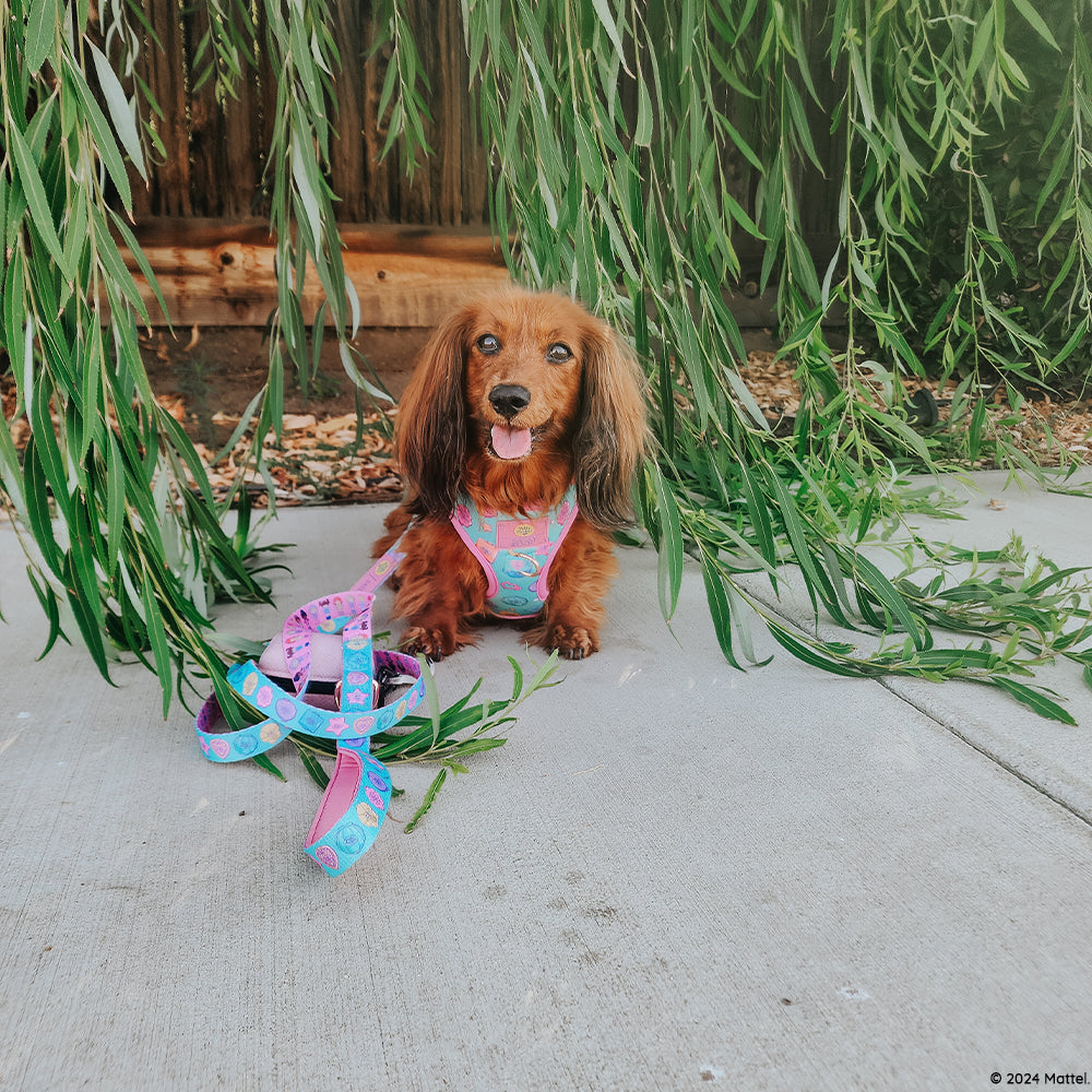Dog Two Piece Bundle - Polly Pocket™