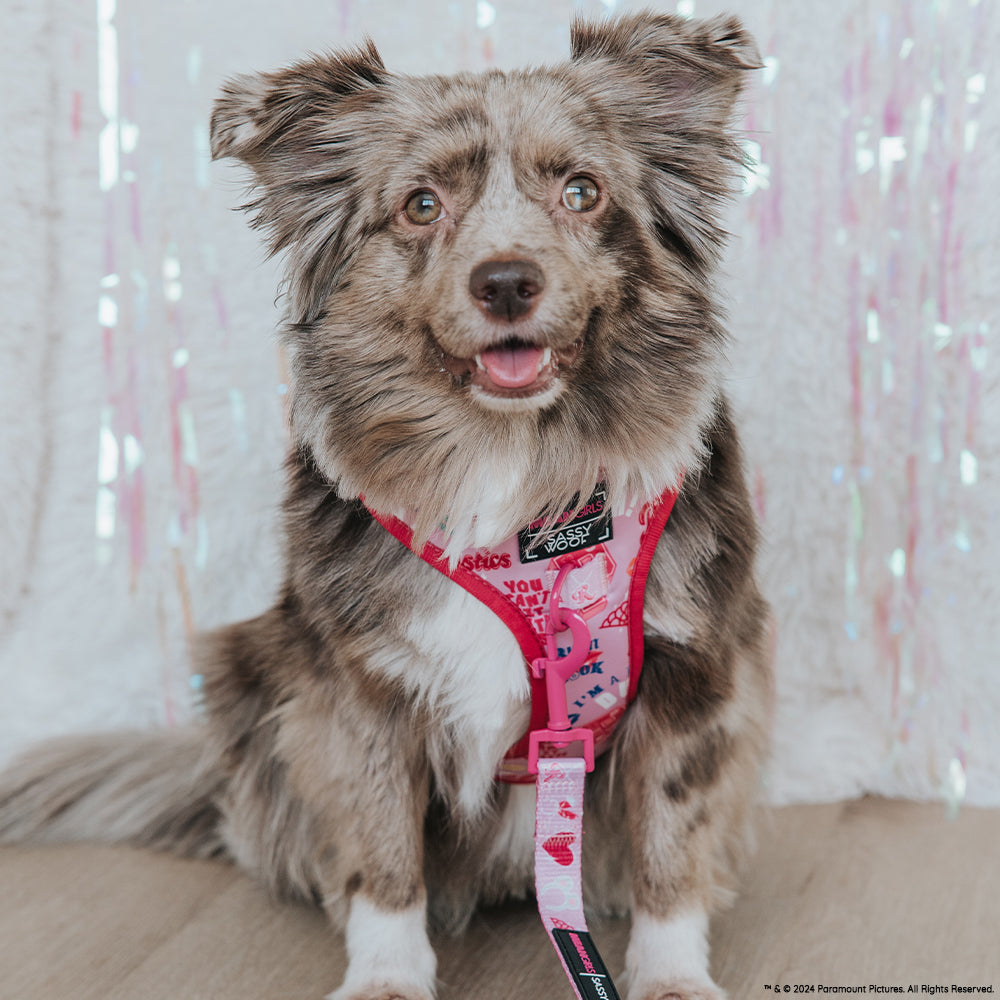 Dog Two Piece Bundle - Mean Girls™
