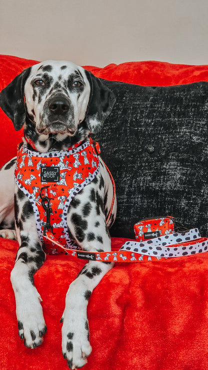 Dog Four Piece Bundle - Disney's 101 Dalmatians