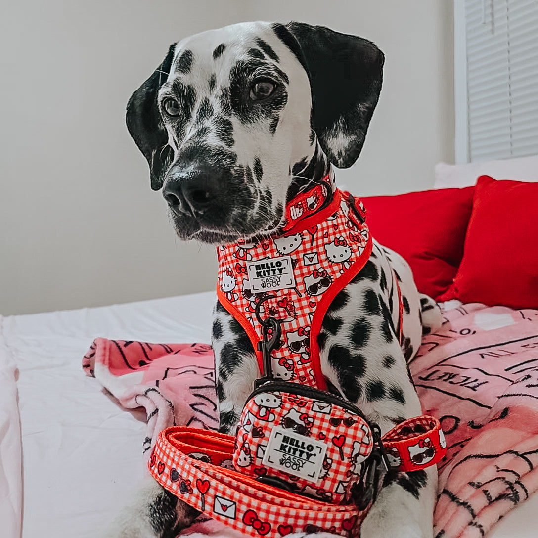 Dog Four Piece Bundle - Hello Kitty® Red Classic