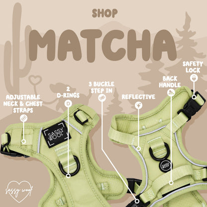 Dog Four Piece Bundle - Matcha