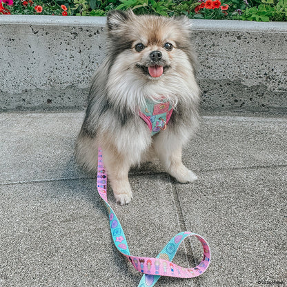 Dog Two Piece Bundle - Polly Pocket™