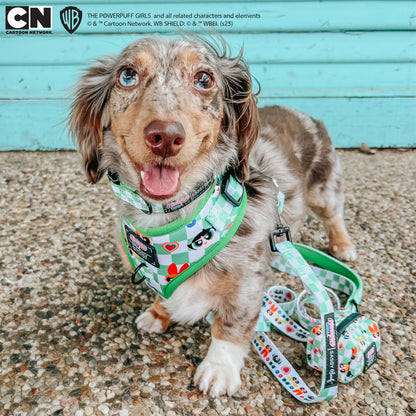 Dog Waste Bag Holder - The Powerpuff Girls™ (Green)