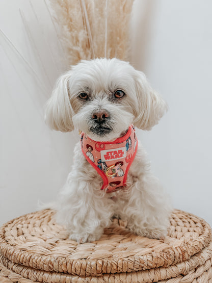 Dog Two Piece Bundle - STAR WARS™ Princess Leia