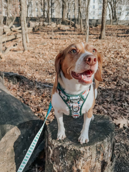 Dog Two Piece Bundle - Peanuts™ Beagle Scouts