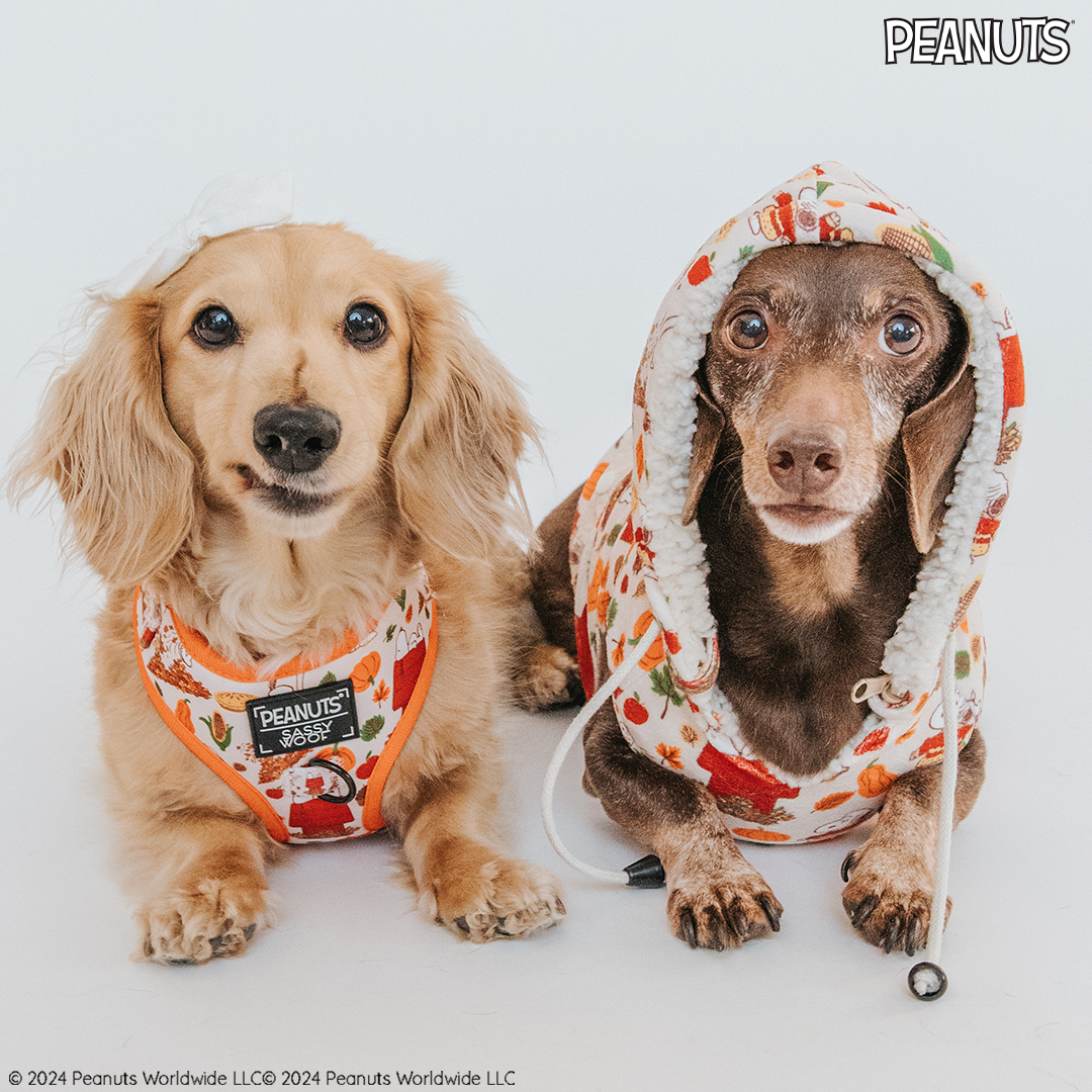 Dog Four Piece Bundle - Peanuts™ Harvest