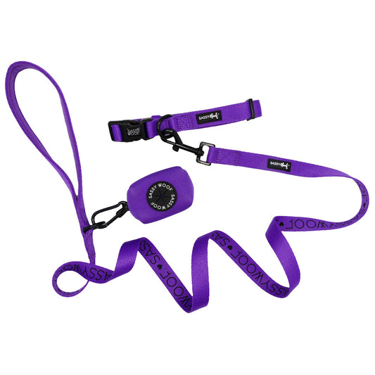 Dog Collar Three Piece Bundle - Neon Purple