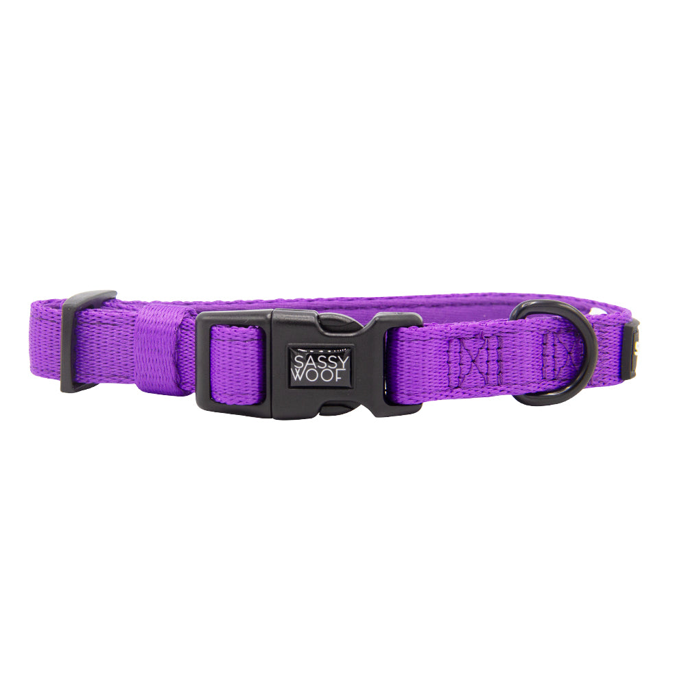 Dog Collar Three Piece Bundle - Neon Purple