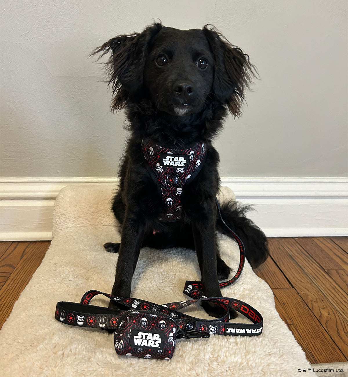 Dog Waste Bag Holder - STAR WARS™ The Dark Side