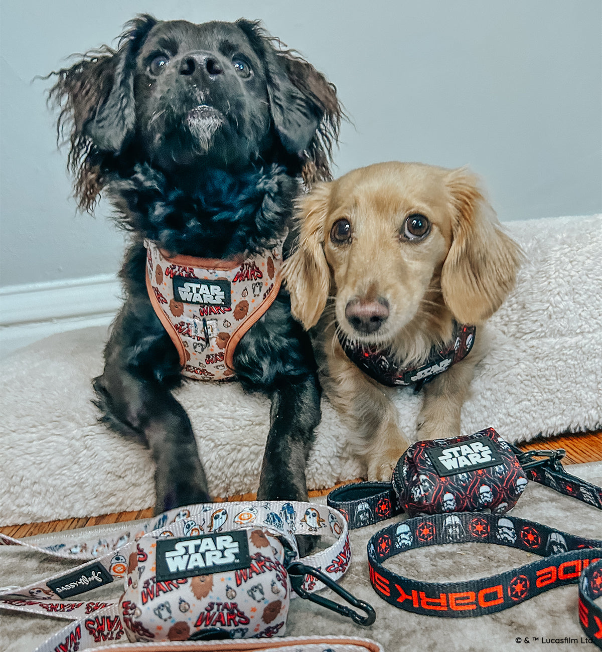 Dog Waste Bag Holder - STAR WARS™ The Dark Side