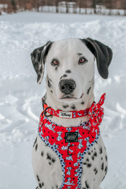 Dog Collar - Disney's 101 Dalmatians
