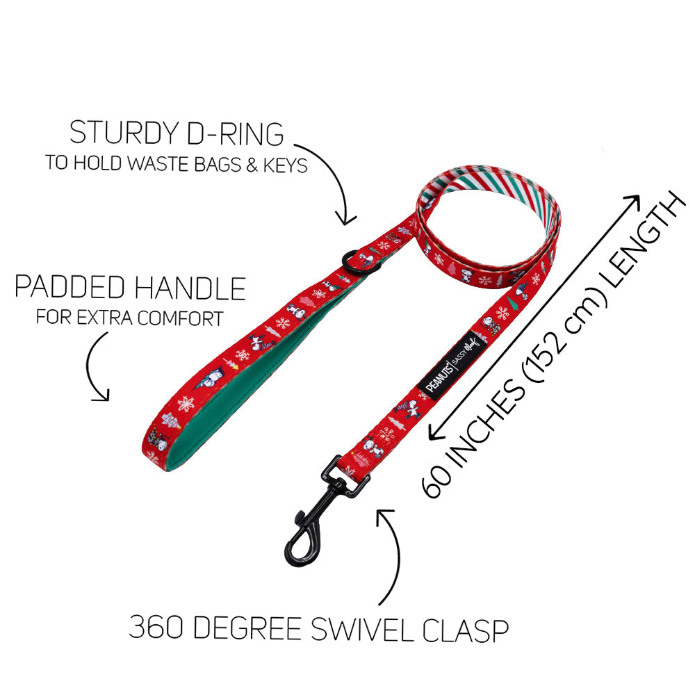 Dog Two Piece Bundle - Peanuts™ Beagle Bells