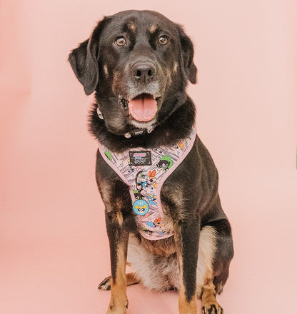 Collar Tag - Bubbles™