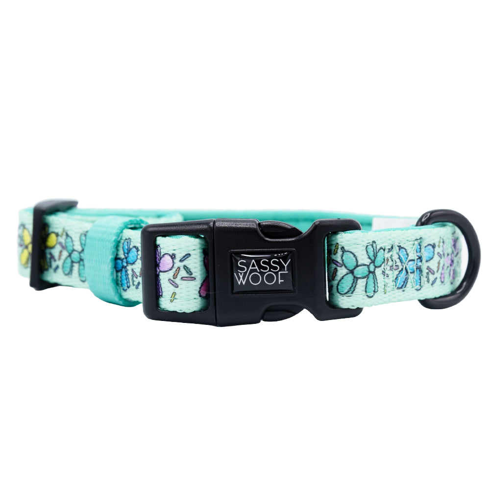 Dog Four Piece Bundle - Pup Pup Hooray