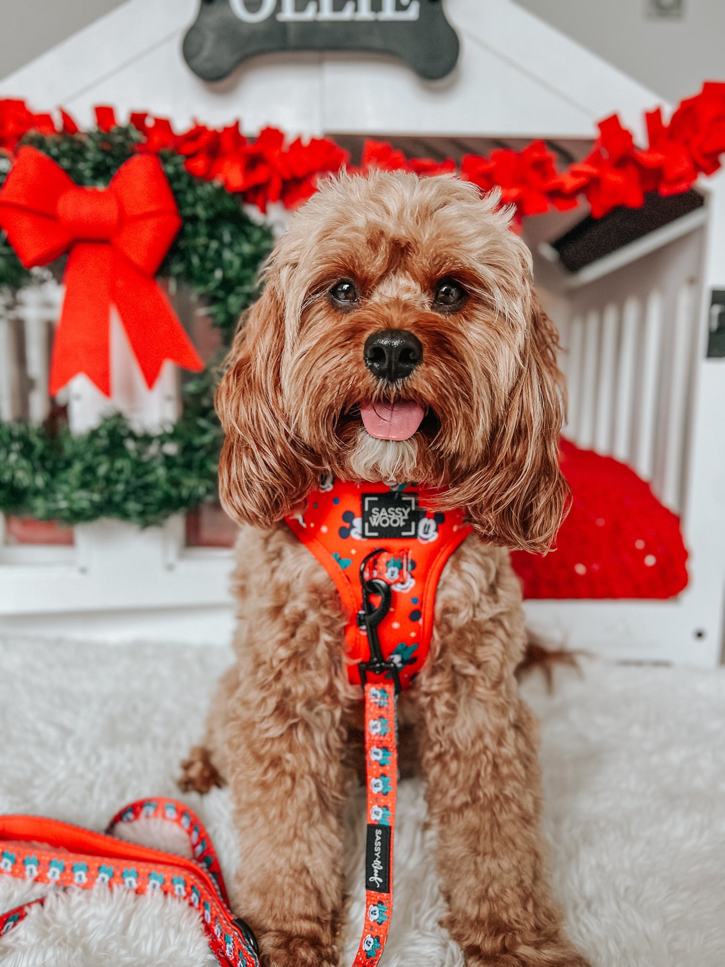 Harness Three Piece Bundle - Disney Holiday Collection